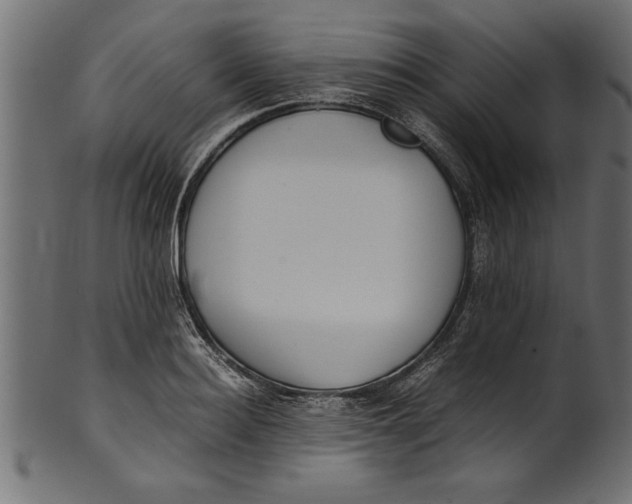X0000101220940200807181549