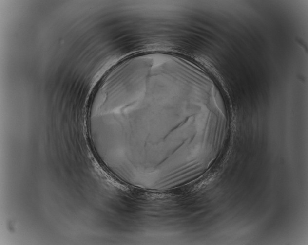 X0000101220941200807181549