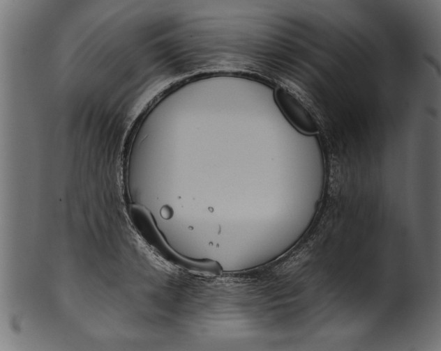X0000101220942200807181549