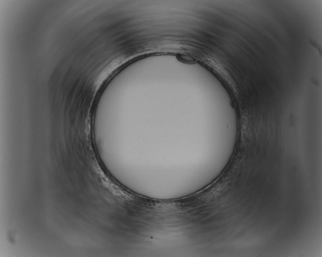 X0000101220944200807181549