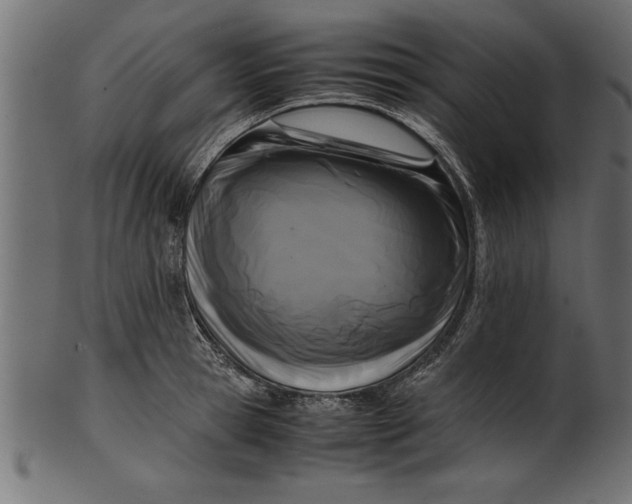 X0000101220945200807181549