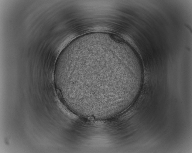 X0000101220946200807181549