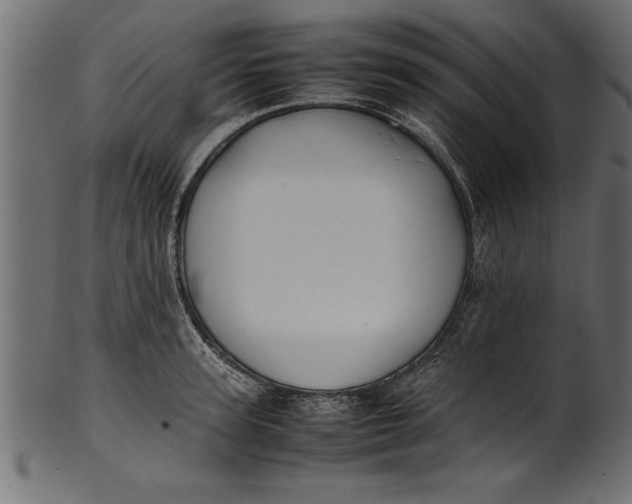X0000101220947200807181549