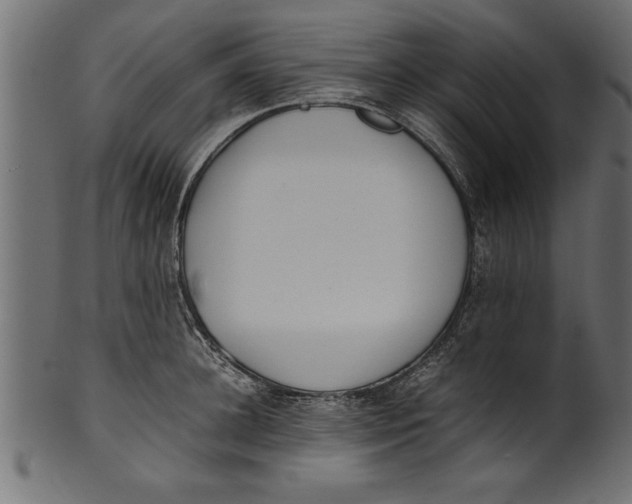 X0000101220948200807181549