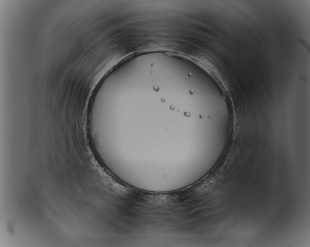 X0000101220949200807181549