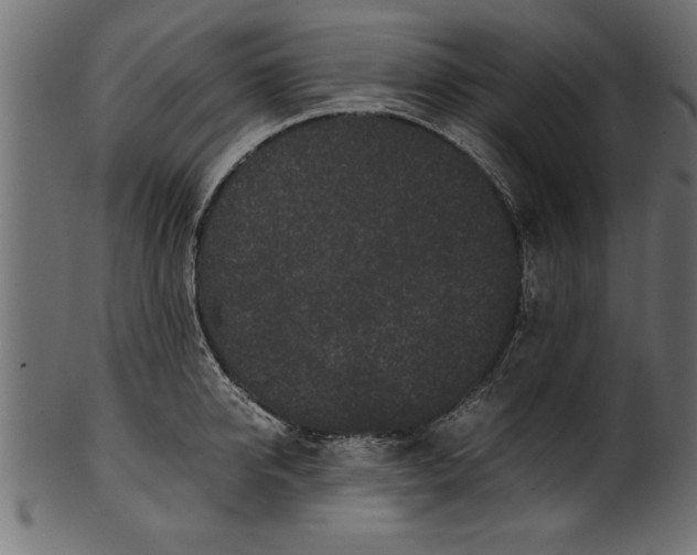 X0000101220950200807181549
