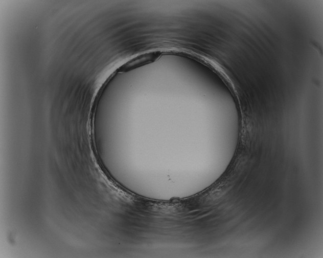 X0000101220951200807181549