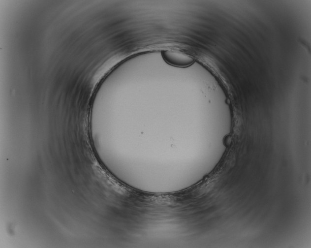 X0000101220952200807181549