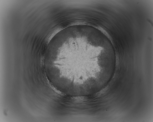 X0000101220953200807181549