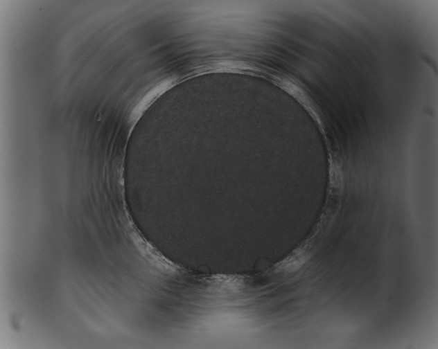 X0000101220954200807181549