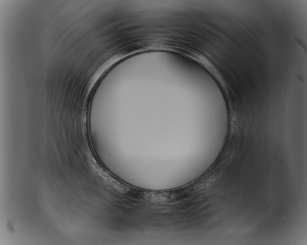 X0000101220955200807181549