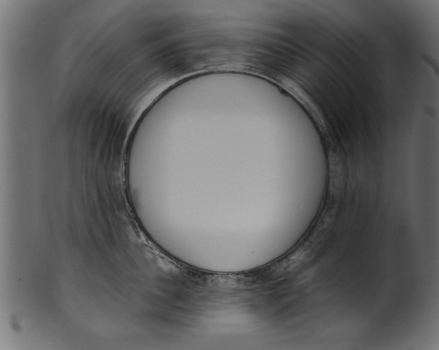 X0000101220956200807181549