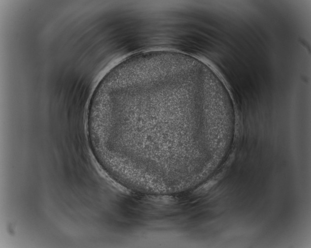 X0000101220957200807181549
