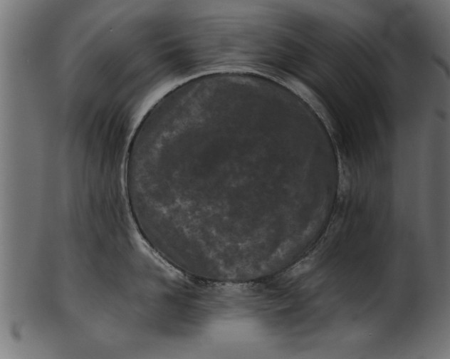 X0000101220958200807181549