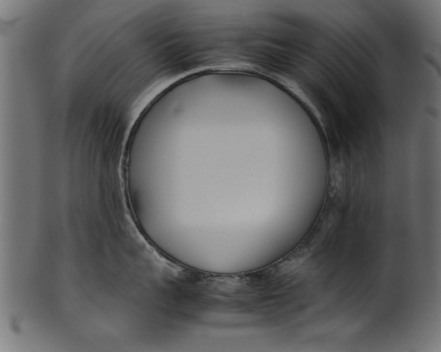 X0000101220959200807181549