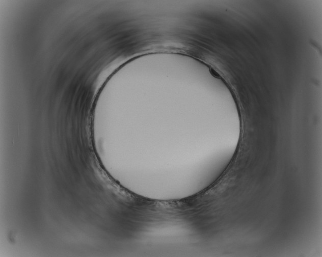 X0000101220960200807181549
