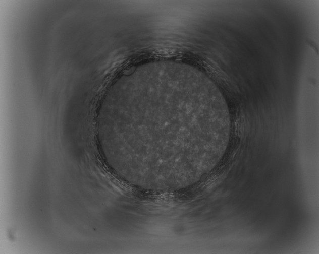 X0000101220961200807181548