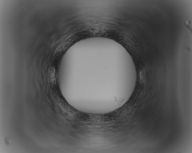 X0000101220963200807181548