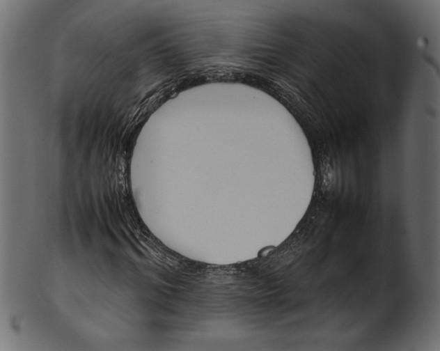 X0000101220964200807181548