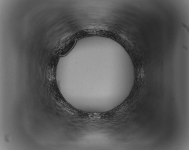X0000101220965200807181548