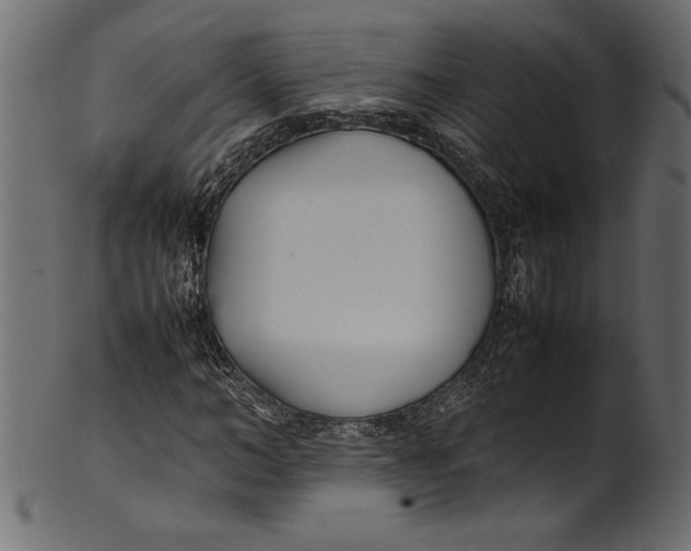 X0000101220966200807181548