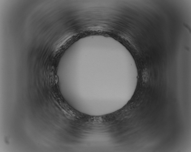 X0000101220968200807181548