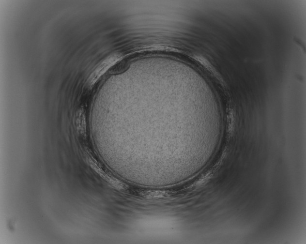 X0000101220969200807181548