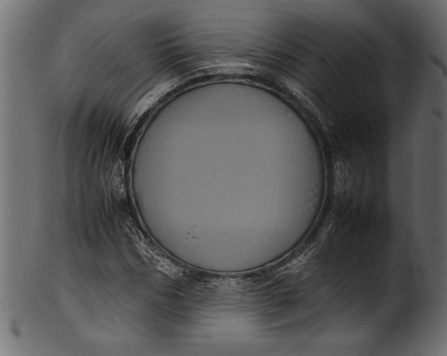 X0000101220970200807181548