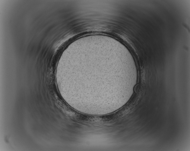 X0000101220971200807181548