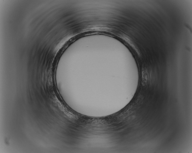 X0000101220972200807181548