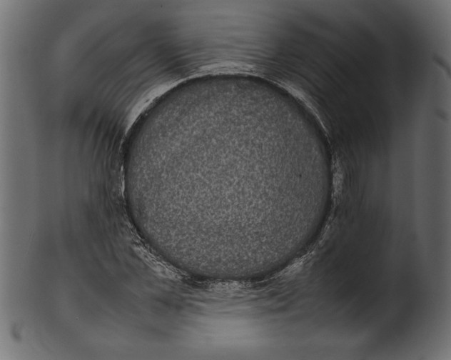 X0000101220973200807181548