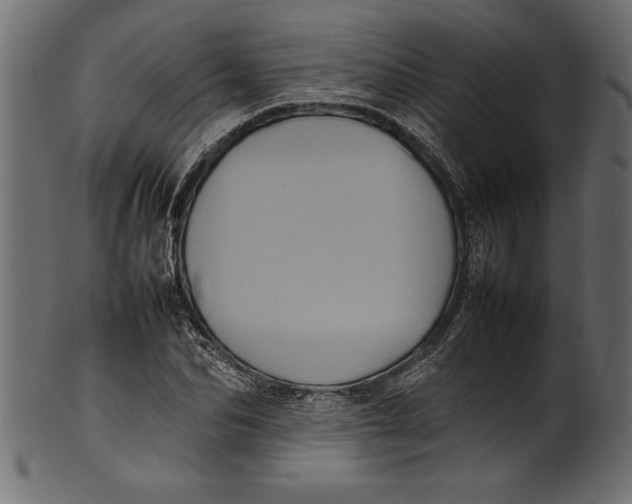 X0000101220974200807181548