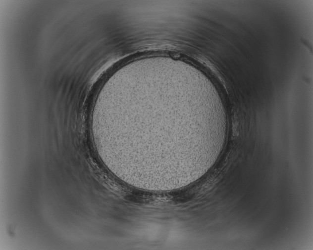 X0000101220975200807181548