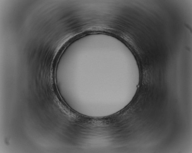 X0000101220976200807181548