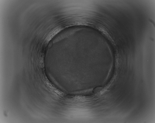 X0000101220977200807181548