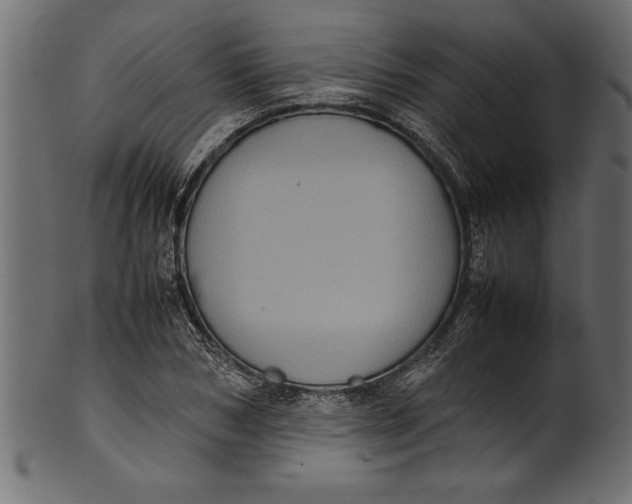 X0000101220978200807181548