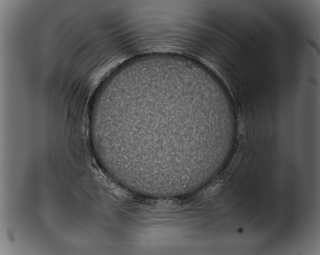 X0000101220979200807181548