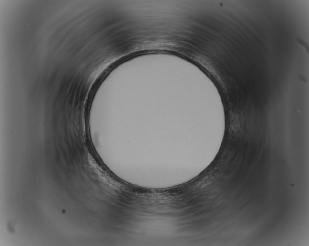 X0000101220980200807181548
