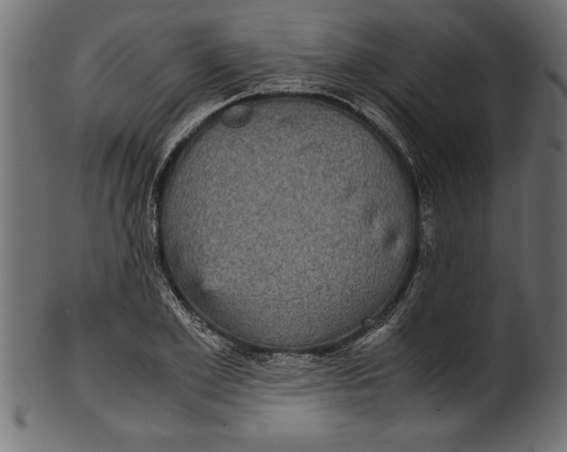 X0000101220981200807181548