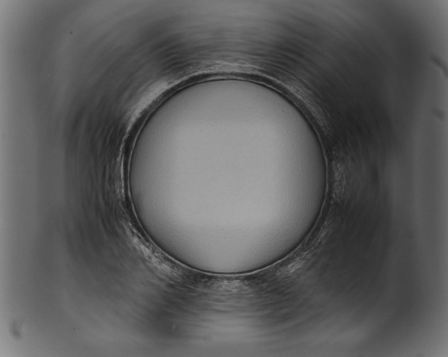 X0000101220982200807181548