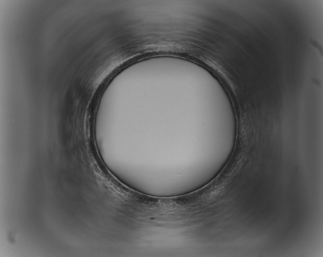X0000101220983200807181548