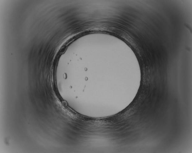 X0000101220984200807181548