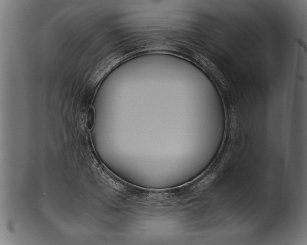 X0000101220985200807181548