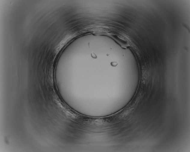 X0000101220986200807181548