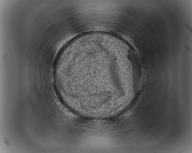 X0000101220987200807181548