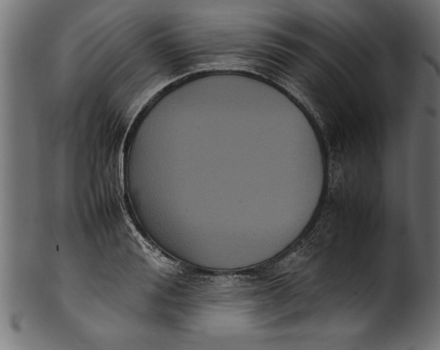 X0000101220988200807181548