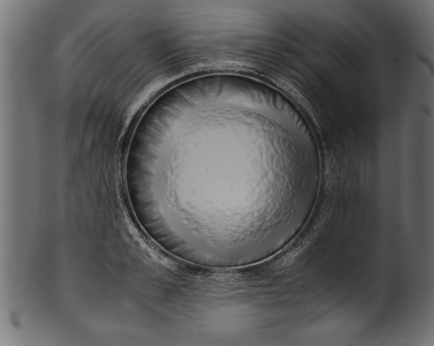 X0000101220989200807181548