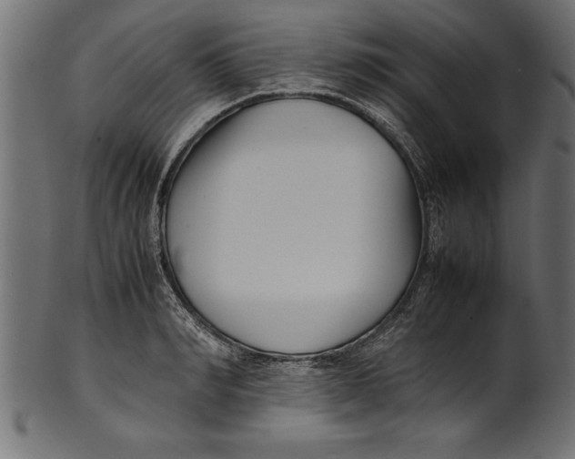 X0000101220990200807181548