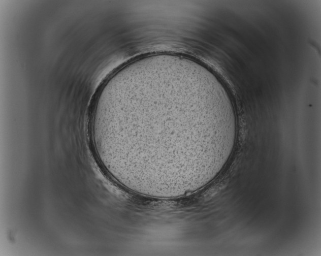 X0000101220991200807181548