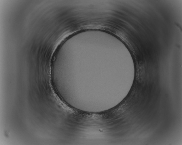 X0000101220992200807181548